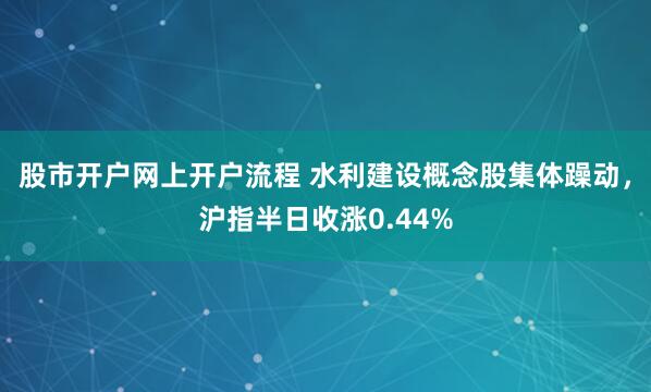 股市开户网上开户流程 水利建设概念股集体躁动，沪指半日收涨0.44%