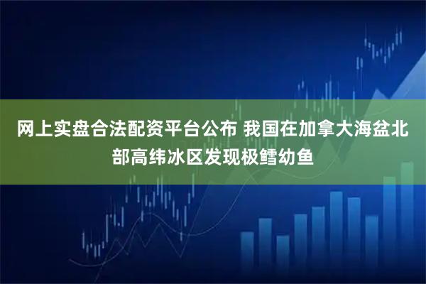 网上实盘合法配资平台公布 我国在加拿大海盆北部高纬冰区发现极鳕幼鱼